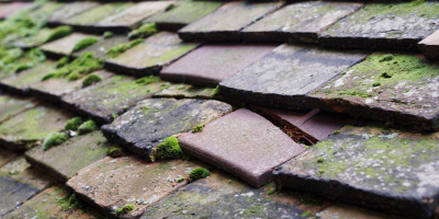 Wolvesnewton roof repair costs